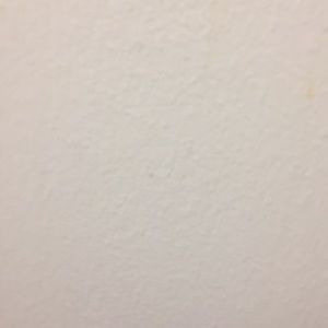 Meet your Posher, Joey